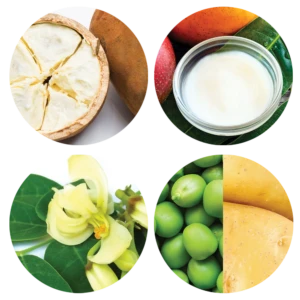 Vegan Butter Complex